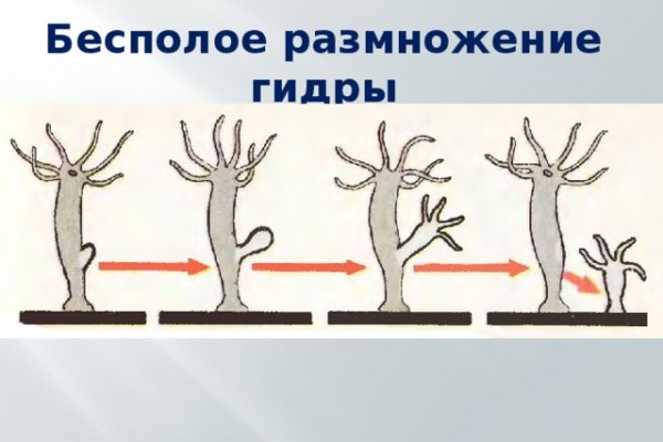 Кракен онион сайт io