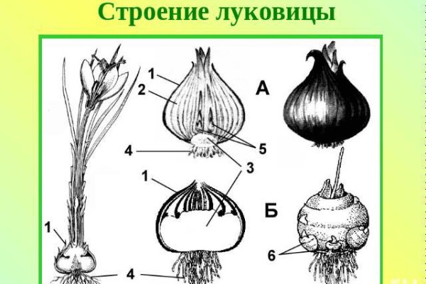 Кракен пользователь не найден что делать