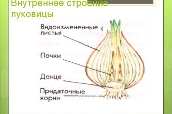 Пользователь не найден кракен даркнет