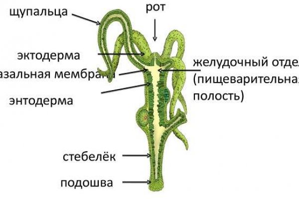 Кракен онион ссылки