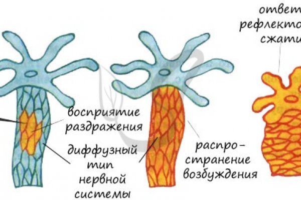 Кракен сайт