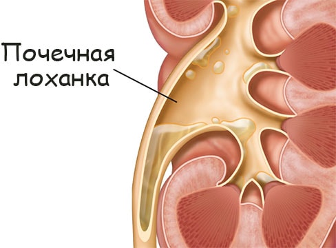 Кракен как зайти на сайт